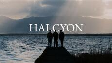Kingfishr - Halcyon - Videoclip.bg