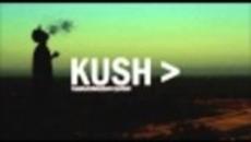 Wiz Khalifa - Good Kush - Videoclip.bg