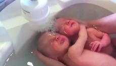 Видеото, което умили милиони! Близначета не разбират, че са се родили - ето какво правят! - Videoclip.bg