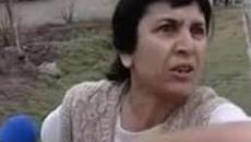Тъщата на "младия меринджей": "Ромите получават помощи, ядат, пият, мързи ги. Те са още по-мързеливи от българите" - Videoclip.b