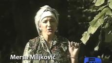 Zelen lišće goru kiti, Mersa Miljković - Meri - Videoclip.bg