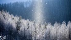 Диамантен прах през зимата в Япония (ВИДЕО) - Videoclip.bg