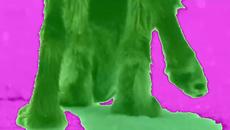 SHAMUS -  Days Of High Adventure Lyric Video - Videoclip.bg