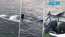 Bellambi boat ramp bungle - Videoclip.bg