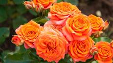 Самая красивая мелодия в мире! Эту музыку можно слушать вечно! Отличная музыка Сергей Грищук - Videoclip.bg