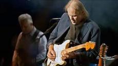 WALTER TROUT & The Free Radicals - The Reason I'm Gone - Videoclip.bg