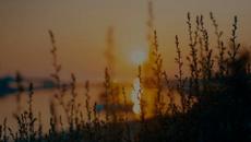 Semsa Suljakovic i Juzni Vetar - Lutalica - Videoclip.bg