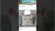 АчО мЕмЫ #Shorts - Videoclip.bg