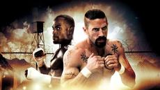 Фаворитът 3: Изкуплението (синхронен екип 2, дублаж на студио Медия Линк, 20.01.2023 г.) (запис) - Videoclip.bg