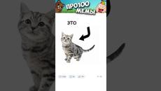 Мемы 2023 #мем - Videoclip.bg