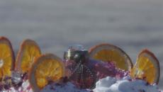 Oropendola - "Knocking Down Flowers" (Official Music Video) - Videoclip.bg