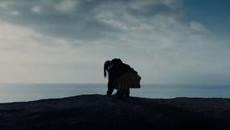 P!NK - TRUSTFALL (Official Video) - Videoclip.bg