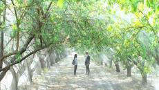 The Heirs - Videoclip.bg