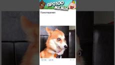 Мемы 2023 #мем - Videoclip.bg