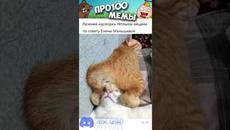 АчО мЕмЫ - Videoclip.bg