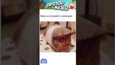 Мемы 2023 #мем - Videoclip.bg