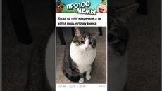 Мемы 2022 #мемы - Videoclip.bg