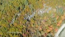 Романс сред природата Love at Look Lodge (2020) Бг Аудио Част 1 - Videoclip.bg