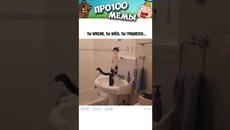 Мемы 2022 #Котики #Кошки #анекдоты #мемы #юмор #приколы - Videoclip.bg