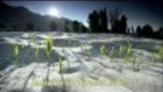 Честита Пролет 2014 от www.videoclip.bg ! Happy Spring! - Videoclip.bg