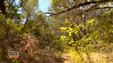 What3Words App Helps First Responders Locate Lost People - Videoclip.bg