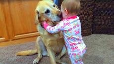 Cute Babies Playing With Dogs Compilation | Funny Baby And Pets - Videoclip.bg