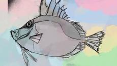 Mirror - Videoclip.bg