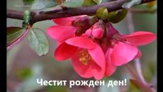 Честит рожден ден 2022 мила katy945 - Videoclip.bg