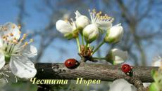 Честита Пролет! Happy Spring! - Videoclip.bg