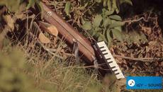 Preva Piromanac - Sve je to zivot srce sumadija - official  video 2022 - Videoclip.bg