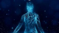 Медитация 741 Hz Spiritual Detox Meditation - Videoclip.bg