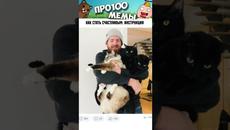 Мемы 2022 #Коты #Котики #Кошки #Анекдоты #Мемы - Videoclip.bg