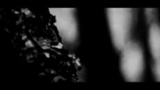 Blindead 23 - Towards the Dark | Official Music Video - Videoclip.bg