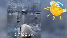 Красивые пожелания. Пусть желанье сбудется твое! ф - Videoclip.bg