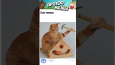 Мемы 2022 #мем - Videoclip.bg