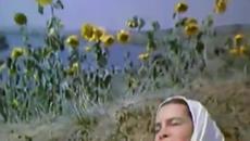 Белый день   -   Ой загулял казак! - Videoclip.bg