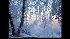 Шансон 2022 - Videoclip.bg