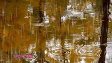 Група СЕНТЯБРЬ    -    Капельки дождя на лице твоем - Videoclip.bg