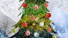 ЗИМНИ ЕЛХИ И ЗИМЕН СЕЗОН И ДРУГИ - Videoclip.bg