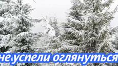 Промчался год, мы даже не успели оглянуться..  Красивая мелодия! - Videoclip.bg