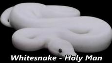 Whitesnake - Holy Man - Videoclip.bg