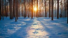 Честита нова година - 2023 година дойде със слънчево и топло време - Videoclip.bg