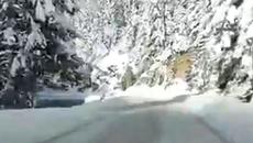 ЗАБЕЛЯЗАНО В ГР. ПАМПОРОВО И ДРУГИ - Videoclip.bg