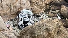Two Children, Two Adults Survive 250-Foot Free Fall in a Tesla - Videoclip.bg
