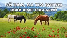 Юрій Шмегельський  -  Ой там, на тім вигоні - Videoclip.bg