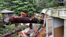 Thousands of Californian homes without power following damaging winds and torrential rains - Videoclip.bg