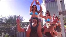 Massimo Conte - Andale - Videoclip.bg