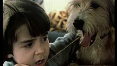 Куче в Чекмедже (1982) Бг филм - Videoclip.bg