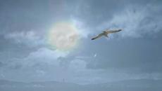 Стелла Джанни  - "Небо" - Videoclip.bg