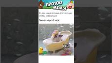 МЕМЫ просто МЕМЫ #приколы #юмор #котики #мемы #shorts - Videoclip.bg
